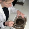 Excavation of an urn